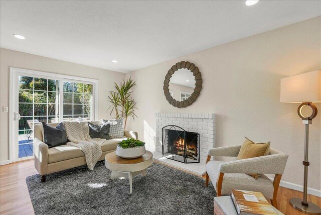 living room featuring a fireplace and wood-type flooring