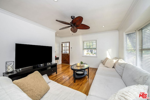 living room with ceiling fan, hardwood / wood-style floors, and crown molding