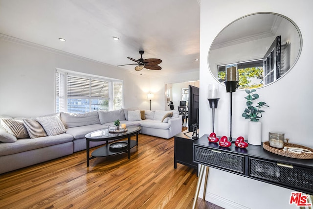 living room with wood-type flooring, ceiling fan, and crown molding