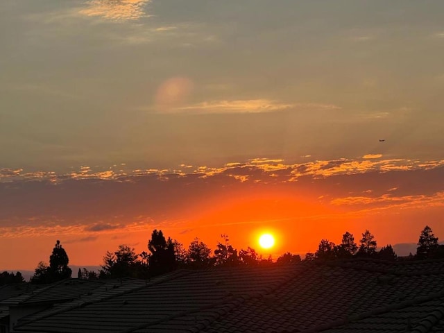 view of nature at dusk