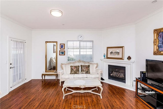 sitting room with dark wood-type flooring and crown molding