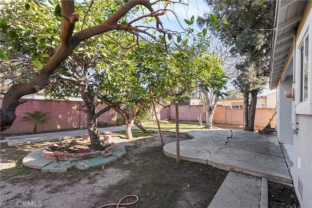 view of yard with a patio area