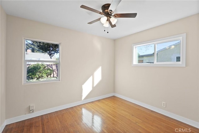 empty room with ceiling fan and wood-type flooring