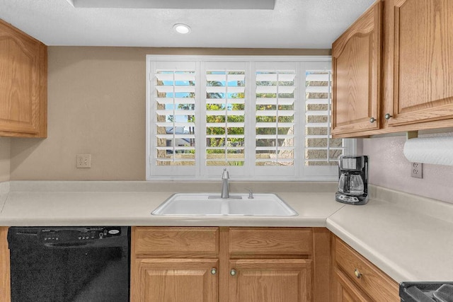 kitchen featuring sink, black dishwasher, and stove