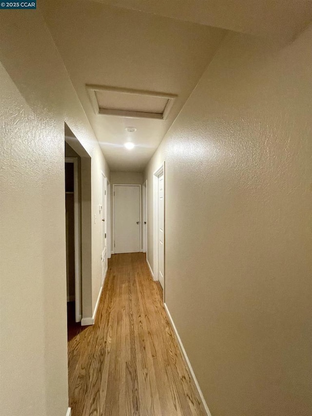 corridor featuring light hardwood / wood-style floors