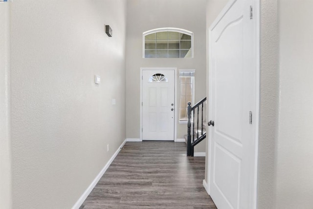 foyer entrance with a high ceiling and hardwood / wood-style flooring