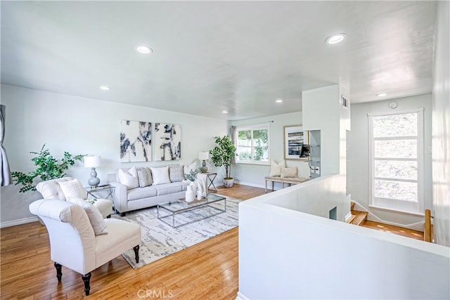 living room with hardwood / wood-style flooring