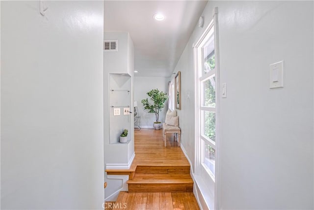 hall featuring hardwood / wood-style flooring and plenty of natural light