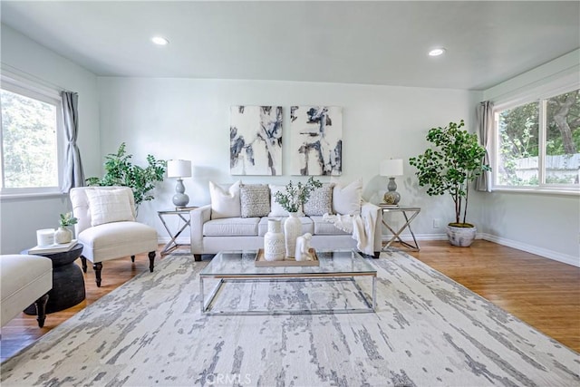 living room with wood-type flooring