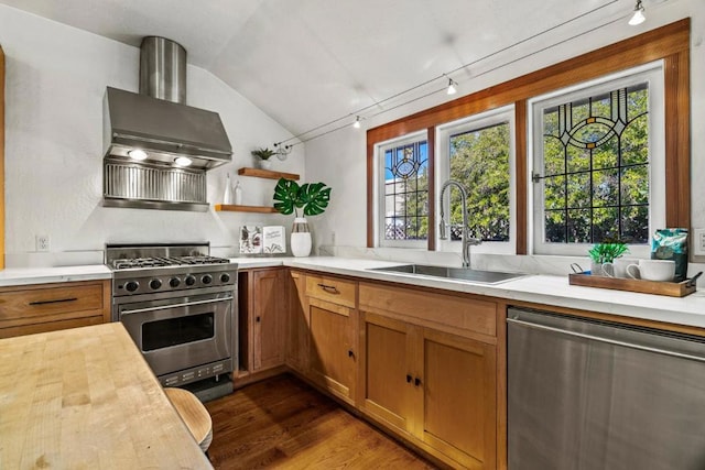 kitchen featuring appliances with stainless steel finishes, butcher block countertops, plenty of natural light, sink, and range hood