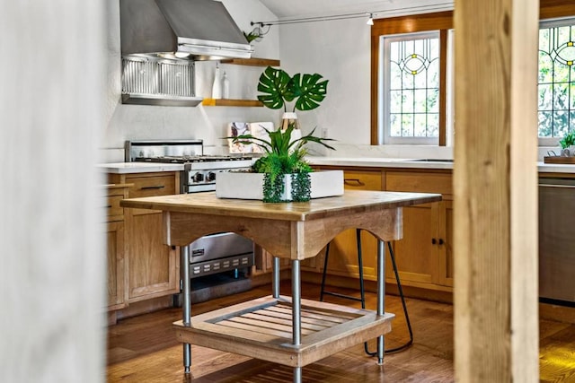 kitchen featuring light wood-type flooring, extractor fan, stove, and stainless steel dishwasher