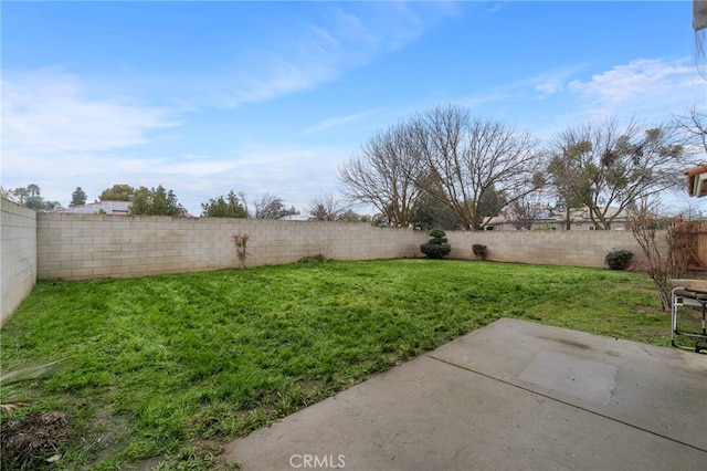 view of yard with a patio area