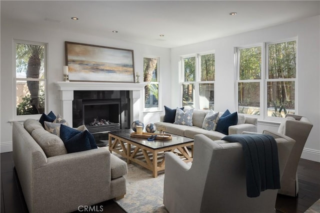 living room featuring plenty of natural light and wood-type flooring