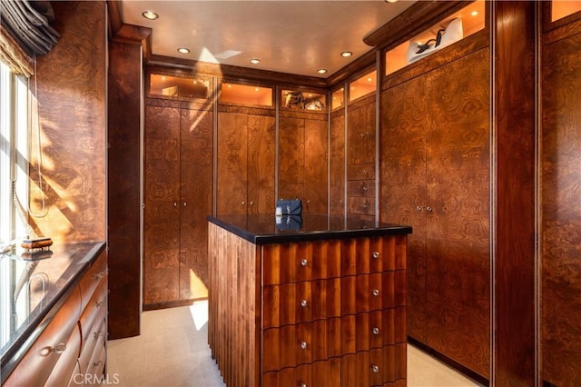 spacious closet featuring light colored carpet