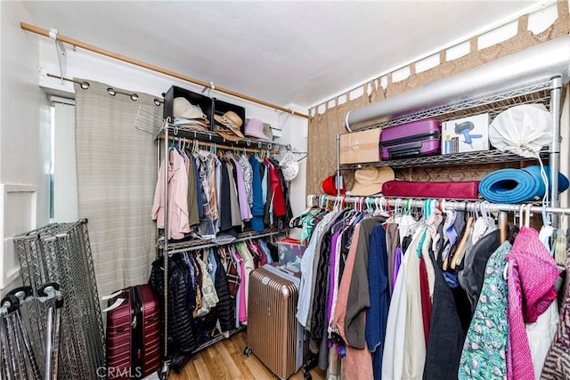 walk in closet featuring hardwood / wood-style floors and radiator heating unit