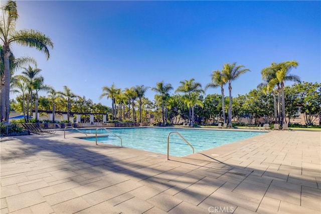 view of swimming pool with a patio