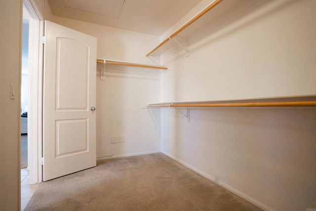 spacious closet featuring light colored carpet