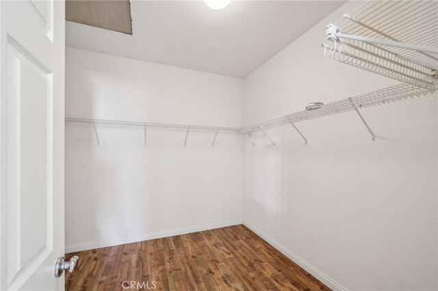 spacious closet with dark hardwood / wood-style flooring