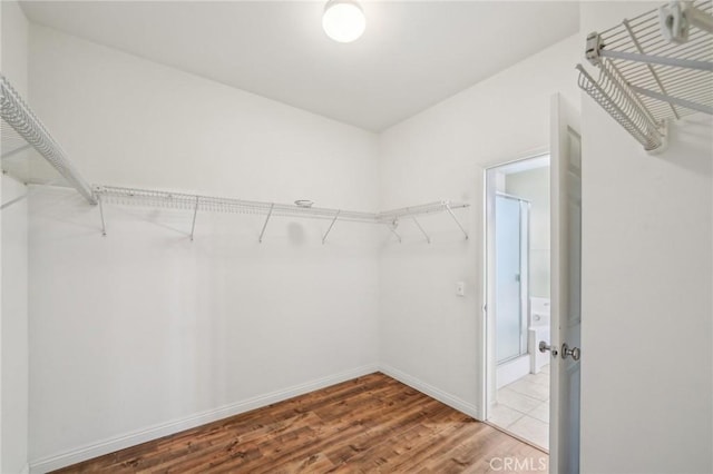 walk in closet with wood-type flooring