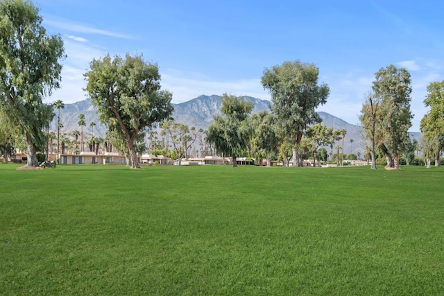 view of property's community with a mountain view and a lawn