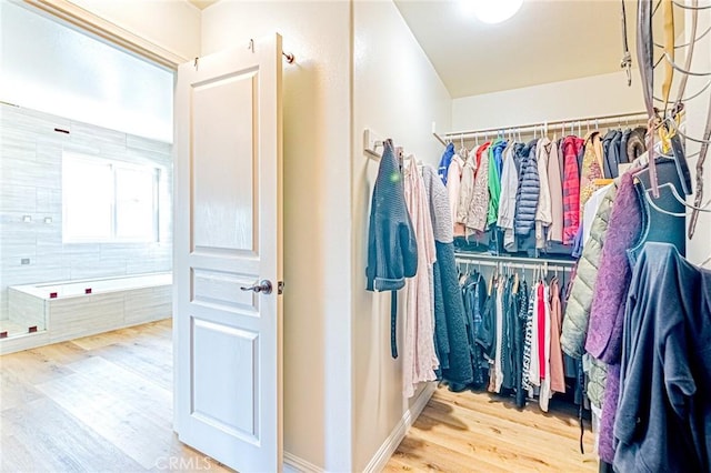 walk in closet featuring wood-type flooring