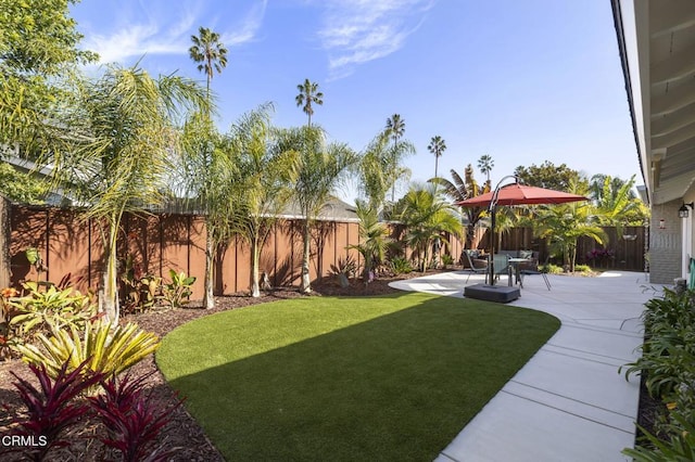 view of yard with a patio area