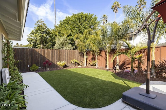 view of yard with a patio