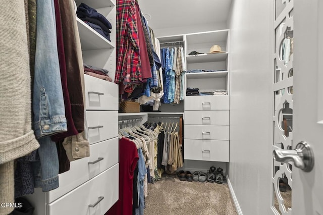 spacious closet with carpet