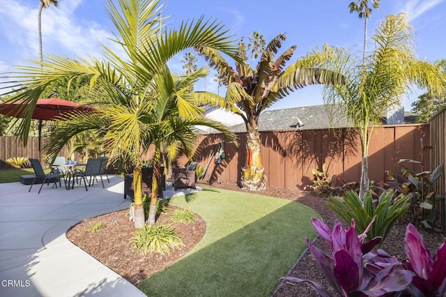 view of yard featuring a patio area