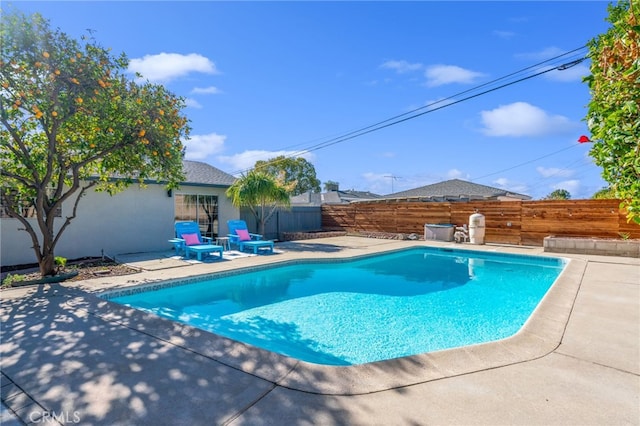 view of swimming pool featuring a patio area