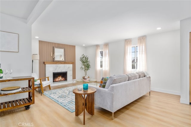 living room featuring a fireplace and light wood-type flooring