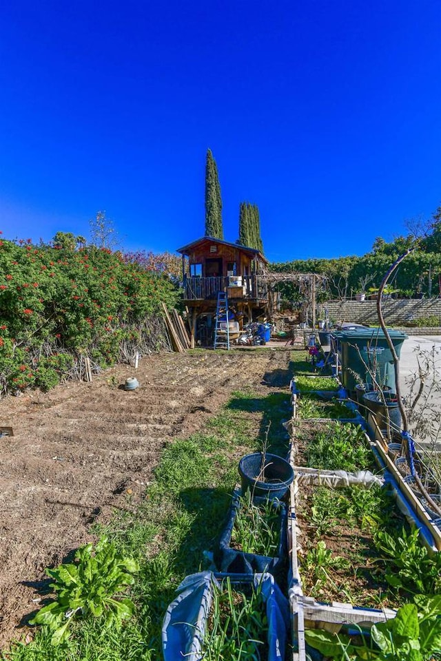 view of yard with a garden