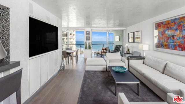 living room with floor to ceiling windows and dark hardwood / wood-style floors