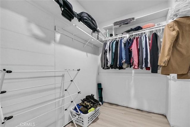 spacious closet featuring hardwood / wood-style flooring