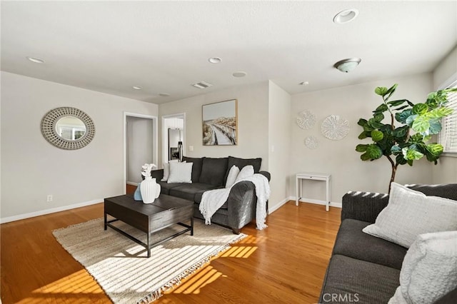 living room with wood-type flooring