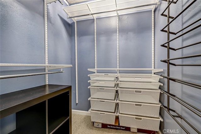 walk in closet with carpet floors