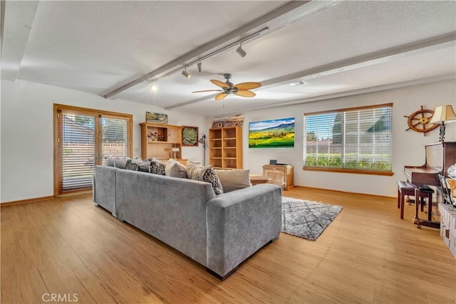 living room featuring light hardwood / wood-style floors, rail lighting, plenty of natural light, and ceiling fan