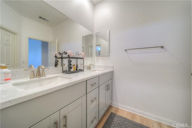 bathroom with vanity and hardwood / wood-style flooring