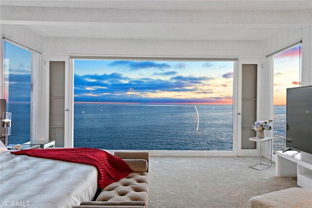 carpeted bedroom featuring a water view