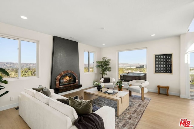 living room featuring a large fireplace, light hardwood / wood-style floors, and plenty of natural light