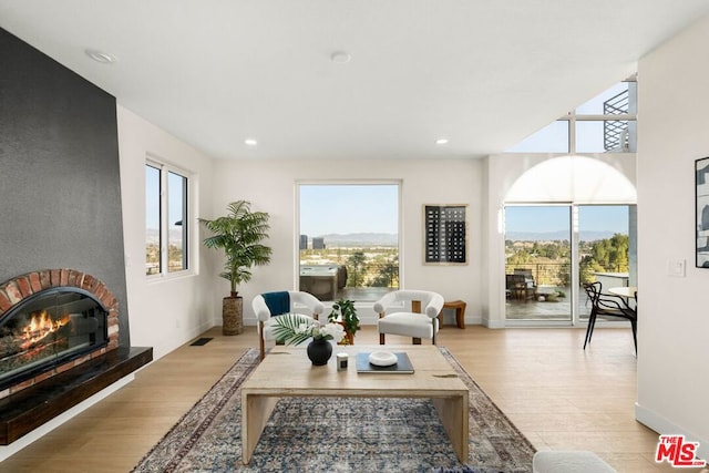 living room featuring a fireplace, light wood-type flooring, and a wealth of natural light