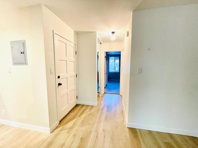 corridor featuring electric panel and light hardwood / wood-style flooring