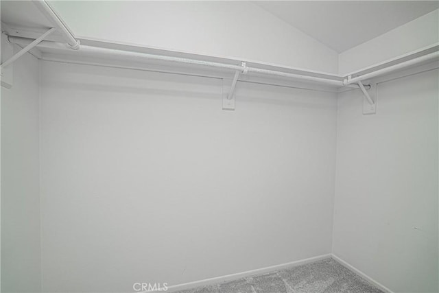 walk in closet featuring carpet flooring