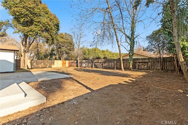 view of yard featuring a patio area