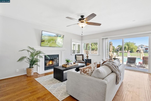 living room with ceiling fan and hardwood / wood-style flooring