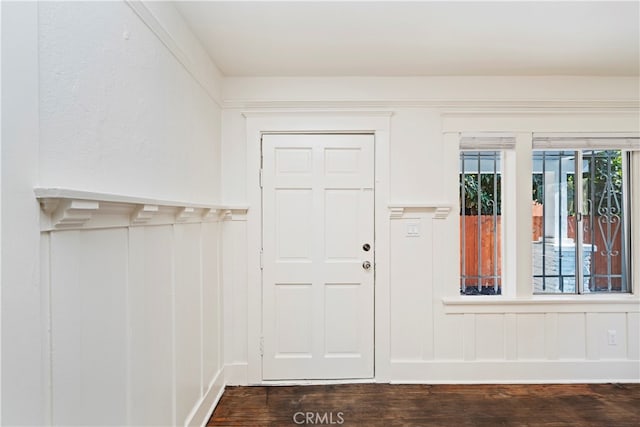 foyer entrance featuring a wealth of natural light and dark hardwood / wood-style floors