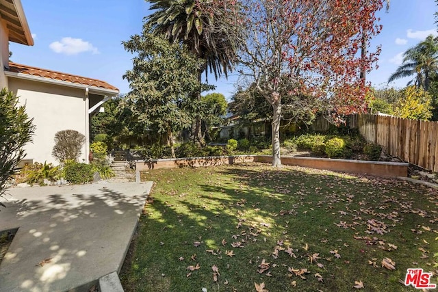 view of yard with a patio area