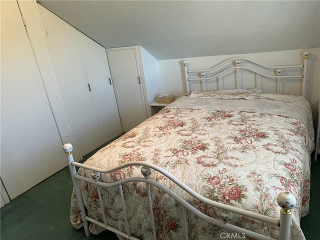 bedroom with a closet and carpet