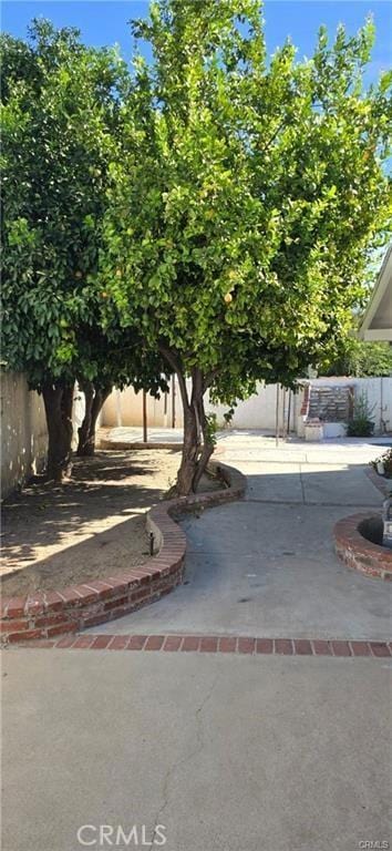 view of yard with a patio