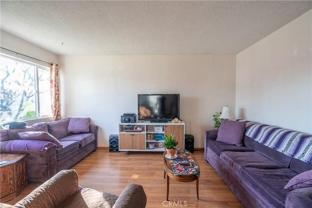 living room with a textured ceiling and wood-type flooring